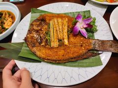 香茅草烤罗非鱼-紫滇源云南生态菜(丹凤街店)