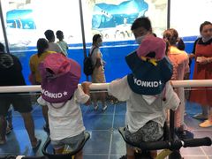 -华夏文旅海洋公园