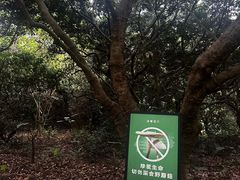 -莲花山公园