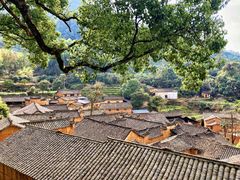 -杨家堂村
