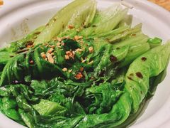 农场时蔬-陈鹏鹏潮汕菜(宝安机场T3航站楼店)