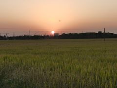 -嘉北郊野公园