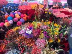-越秀西湖花市(广州城市广场花卉店)