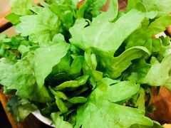 茼蒿-芦月轩羊蝎子(北蜂窝店)