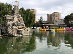 -团结湖公园