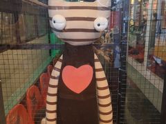 -猫咪博物馆(顶澳仔猫街店)