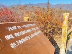 -白水寺森林公园