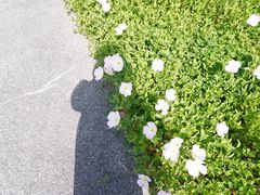 -洋湖国家湿地公园