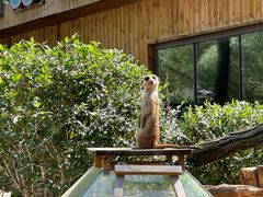 -沈阳森林动物园