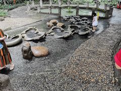 -成都市活水公园