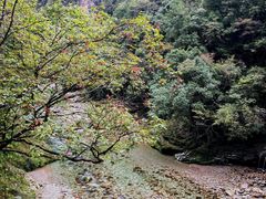 -光雾山旅游景区