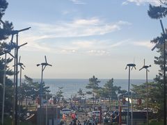 -林海公园