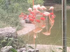 -石家庄市动物园