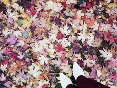 -辽宁大学(崇山校区)