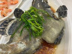 -湛江渔港·大排档(乐园路总店)