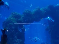 -海合安青岛极地海洋公园