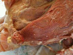 -刘纪孝腊牛羊肉(北广济街店)