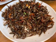 -黄牛肉馆·皖南土菜