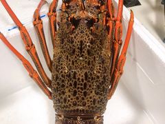 -盒马鲜生(顺义店)