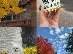 -菌自由丨野生菌火锅特色庭院餐厅(丽江古城店)