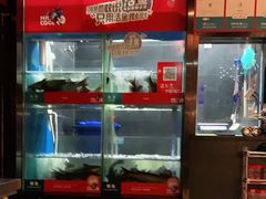 -鱼酷活鱼烤鱼(人信汇商场店)