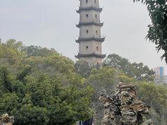 -江心屿景区