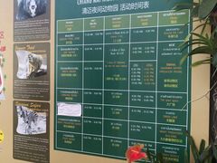 -清迈夜间动物园