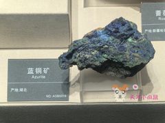 -安徽省地质博物馆