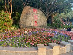-野狸岛