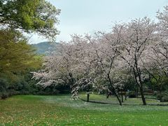 -中国茶叶博物馆(双峰馆区)