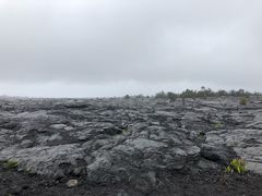 -夏威夷火山国家公园