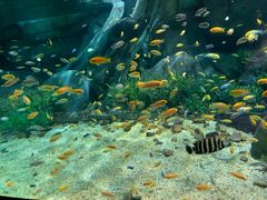 -福州罗源湾海洋世界旅游区