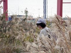 -洋山深水港