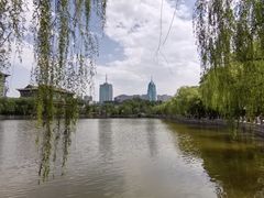 -文瀛公园