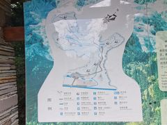 -都江堰中华大熊猫苑