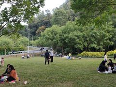 -火炉山森林公园