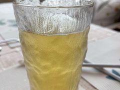 -吉丁鸟咖·异宠·寄养