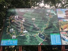 -清溪森林公园
