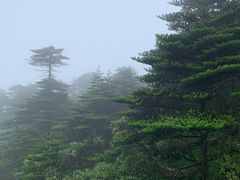 -苍山感通索道