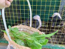 -可可天空农场(中大店)