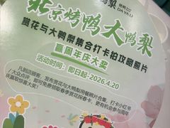 -大鸭梨烤鸭·北京菜(南小街/南苑店)