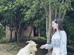 -丝绸小镇荻港古村