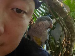 -J Create城市露营咖啡·简餐·宠物(上海动物园店)