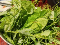 -沙胆彪炭炉牛杂煲(成都玉林店)