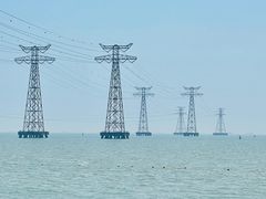 -宝安西湾红树林湿地公园