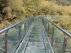 -陶祖圣境风景区