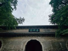 -灵谷景区