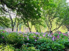 -幕燕滨江·长江观音景区