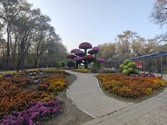 -沈阳植物园