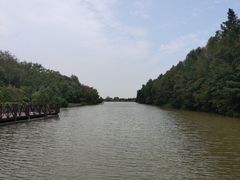 -东滩湿地公园观海楼餐厅